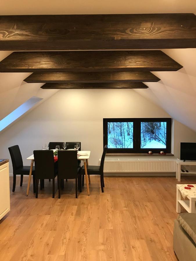 Apartamenty Goszowianka Stronie Slaskie Exterior photo